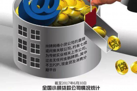 弥渡债务清欠服务